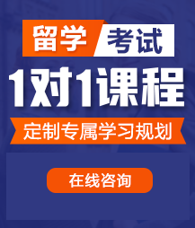 啊啊啊啊啊轻点~操女生穴的网站视频留学考试一对一精品课